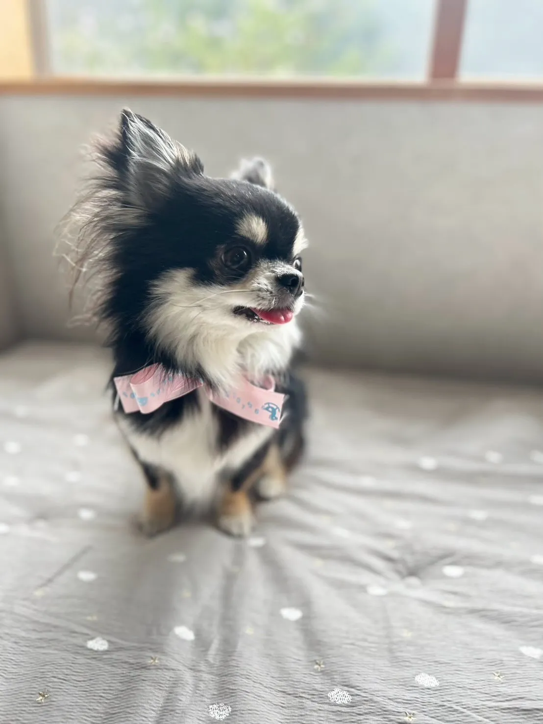 Gilbert𓂃٭ 𓈒𓏸