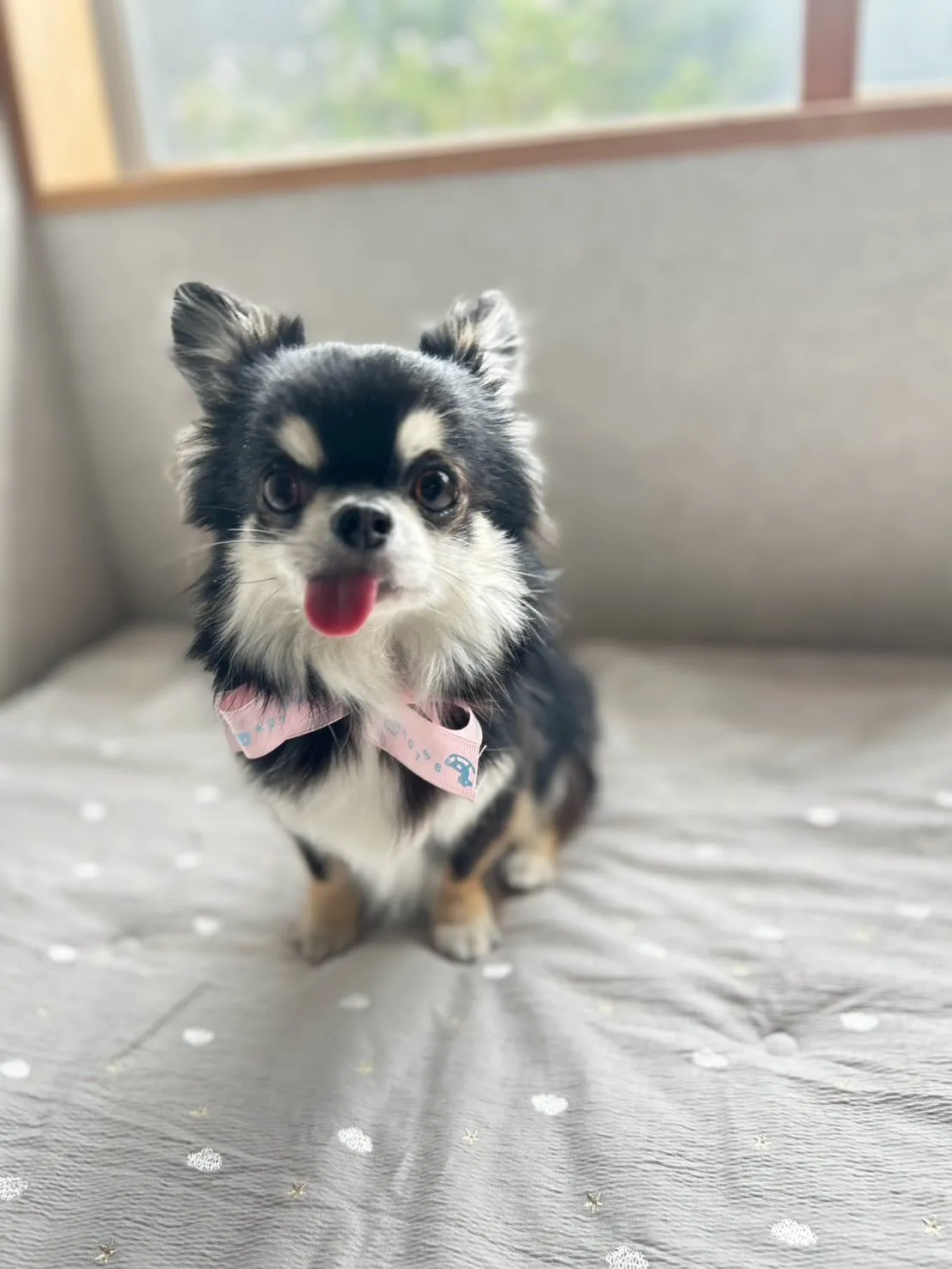 Gilbert𓂃٭ 𓈒𓏸