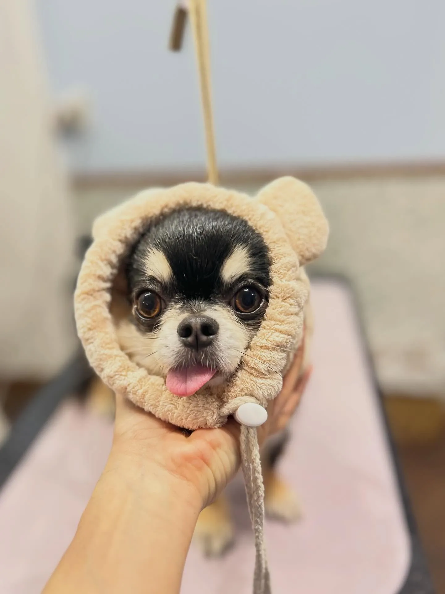 Gilbert𓂃٭ 𓈒𓏸