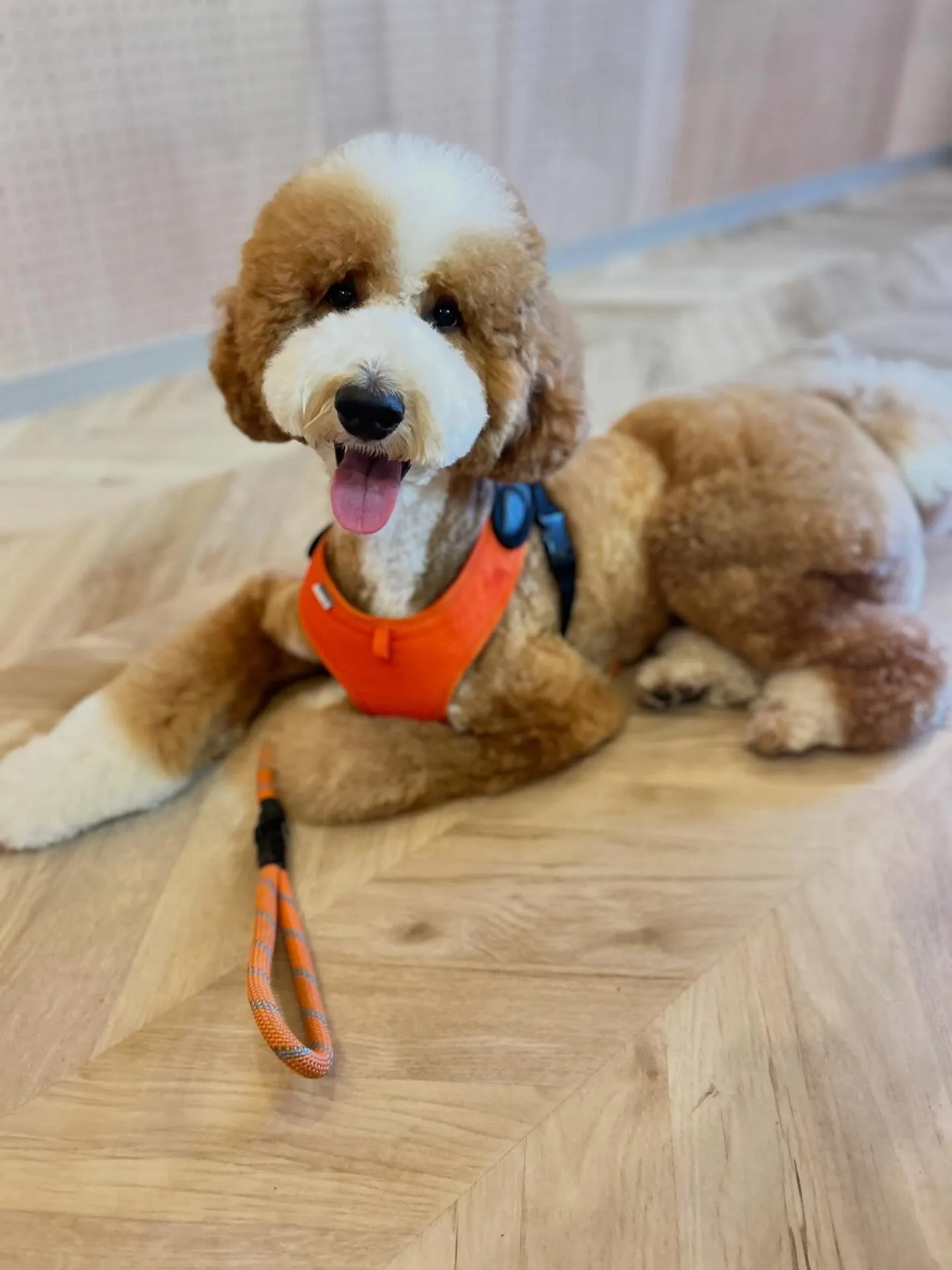 ハーブパック🌿