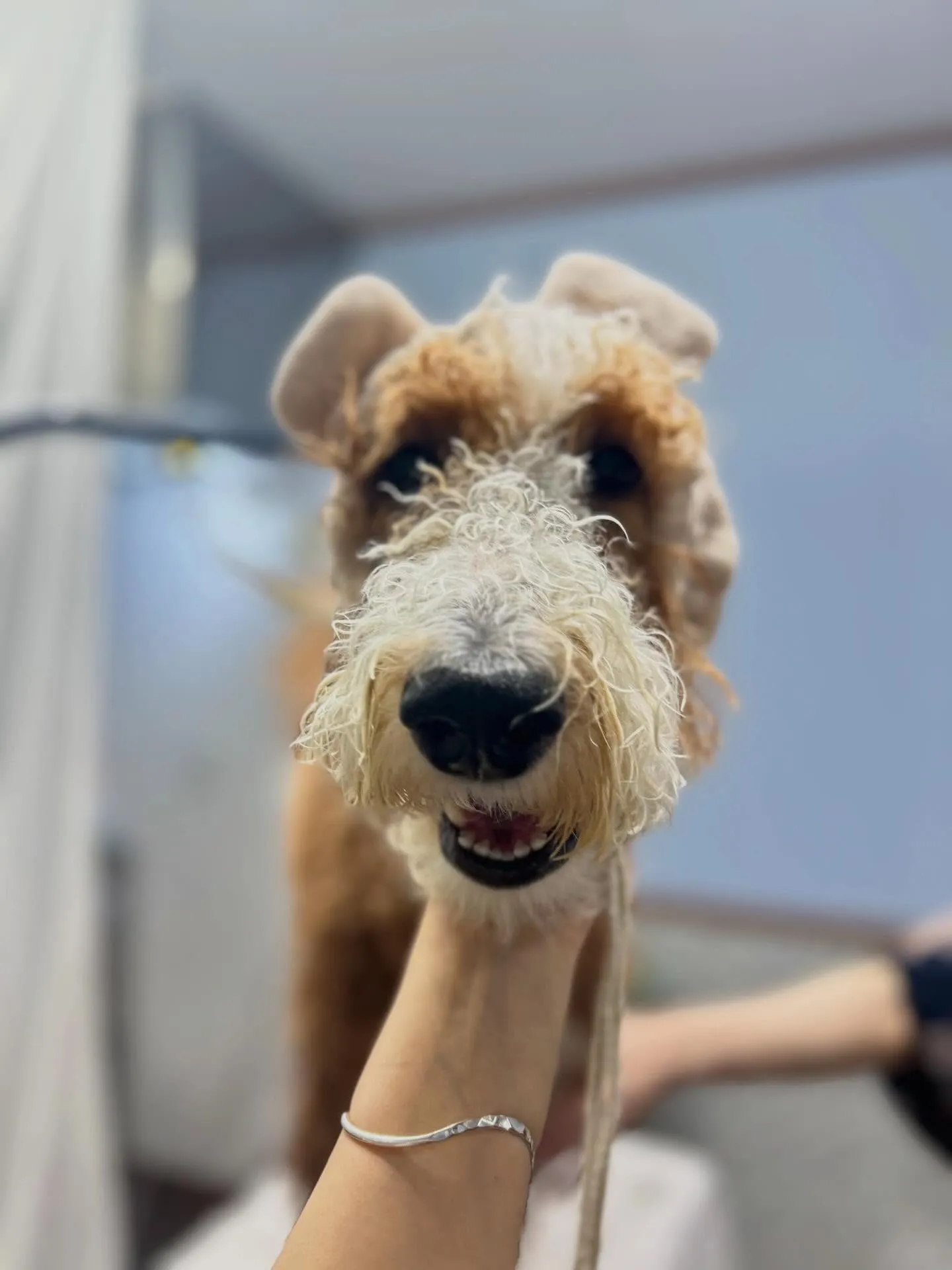 ハーブパック🌿