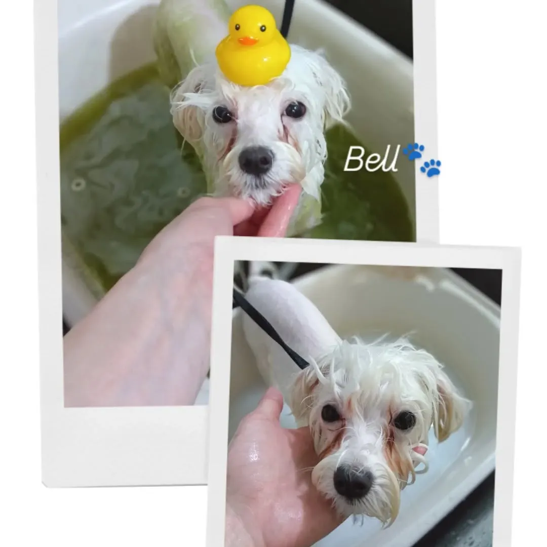 ハーブ温浴＆保湿♡