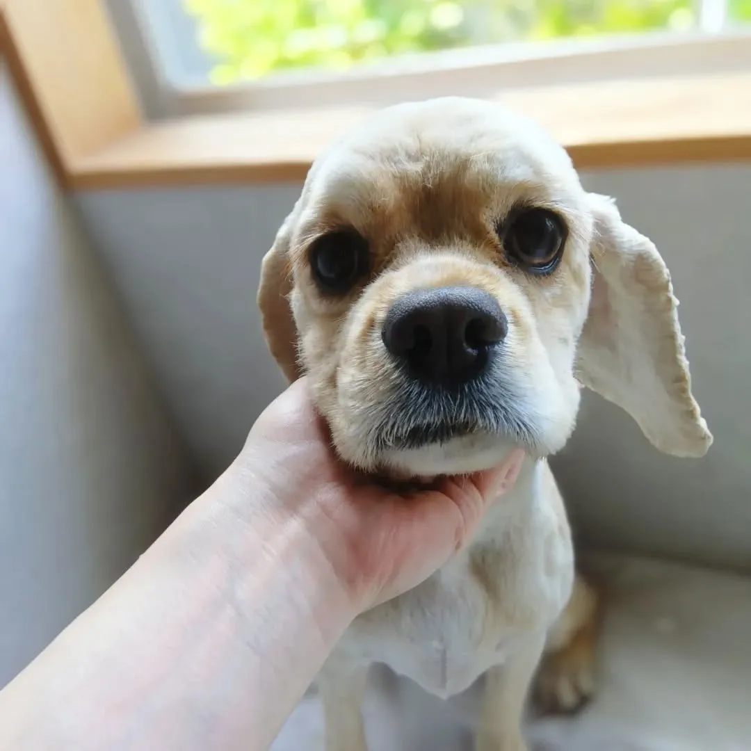 ハーブパック🌿