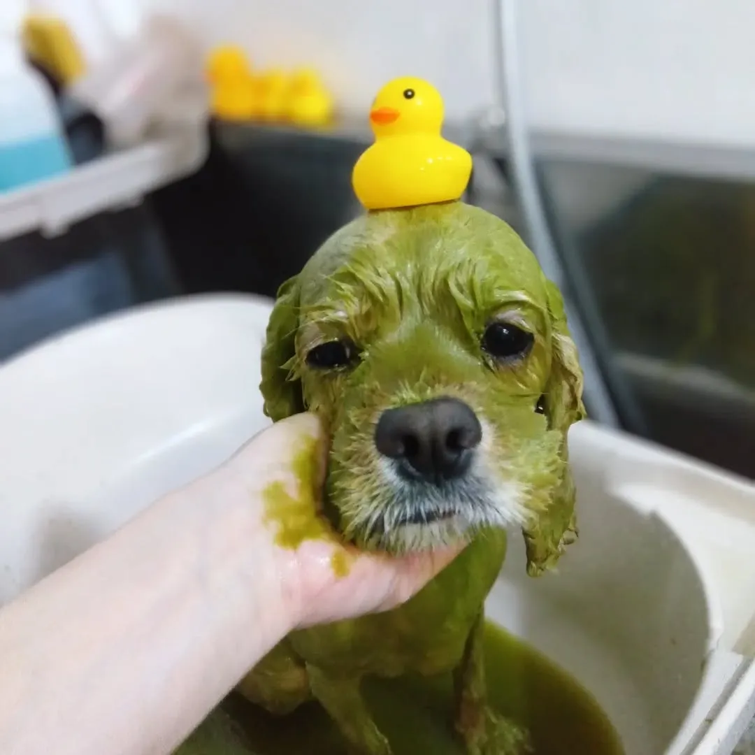 ハーブパック🌿