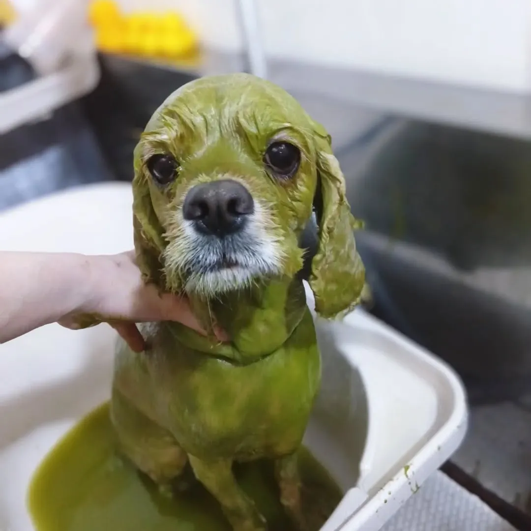 ハーブパック🌿