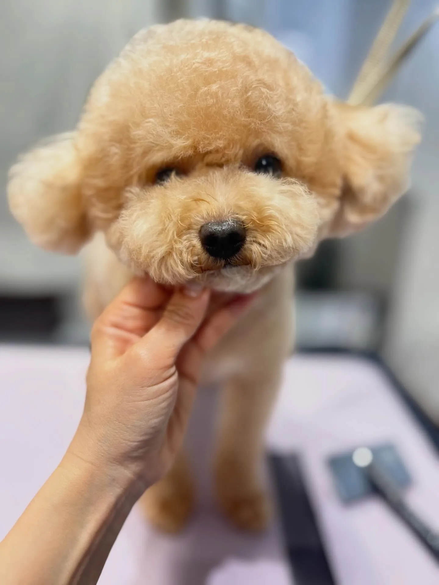 ハーブパック🌿