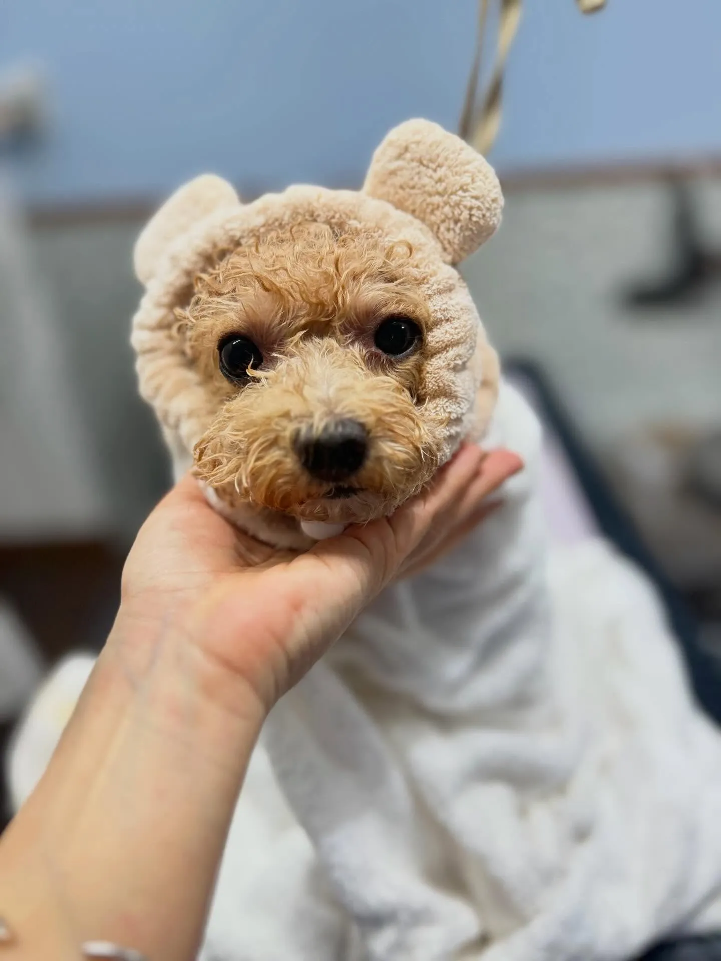 ハーブパック🌿