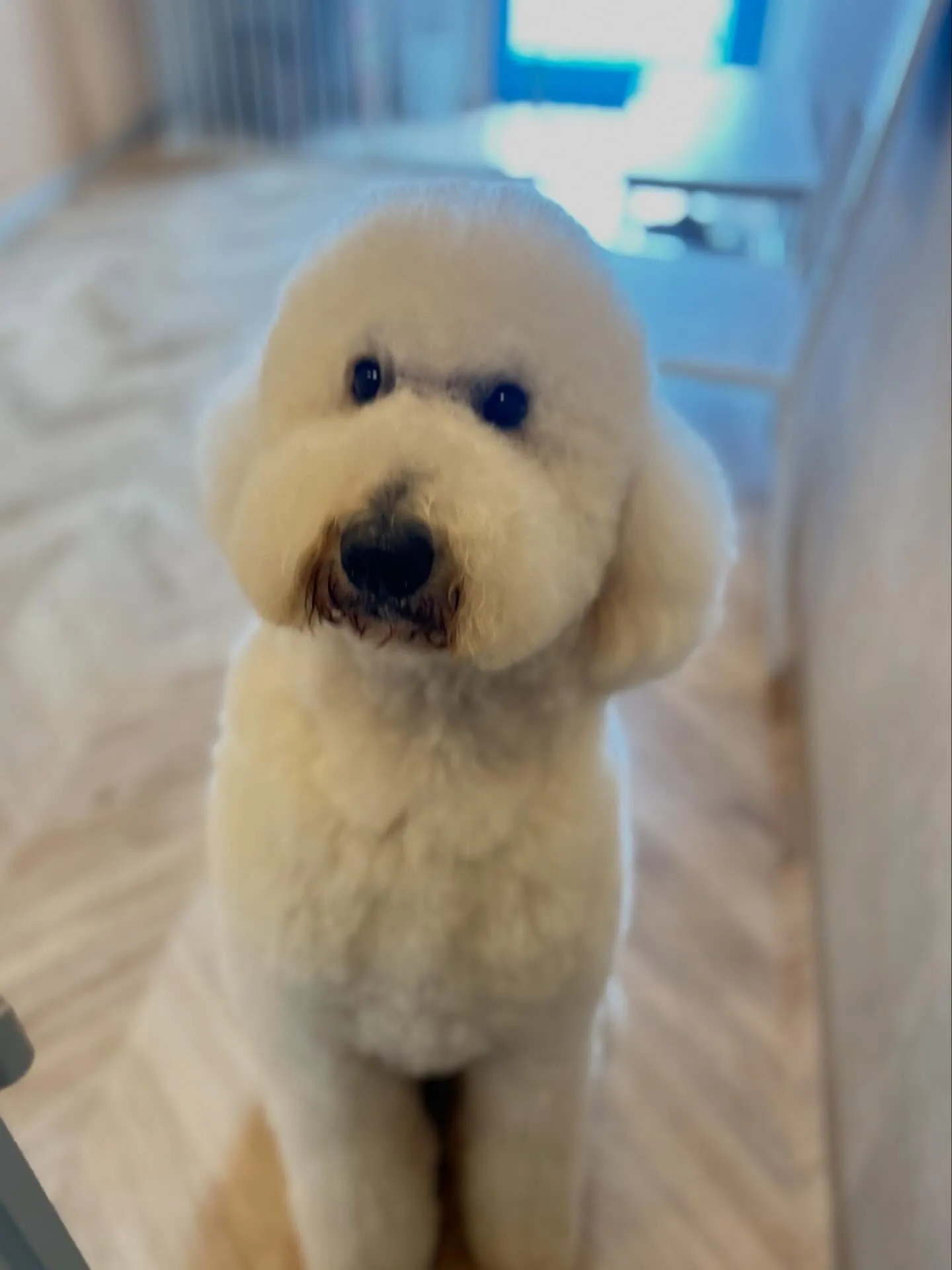 ハーブパック🌿