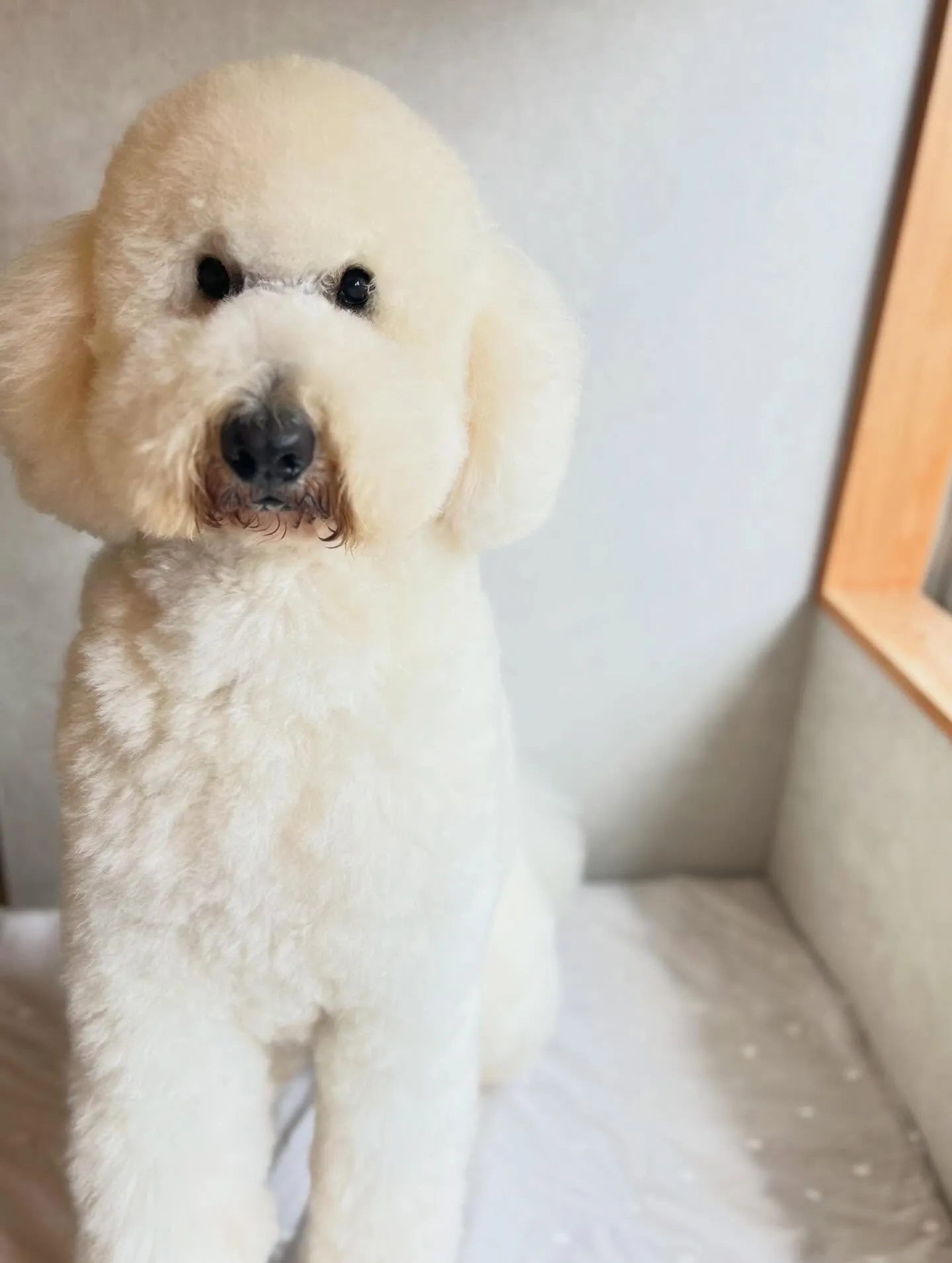 ハーブパック🌿