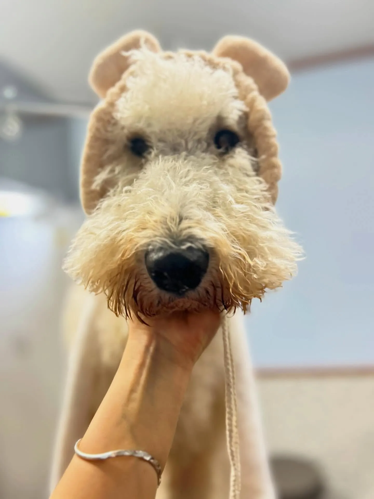 ハーブパック🌿