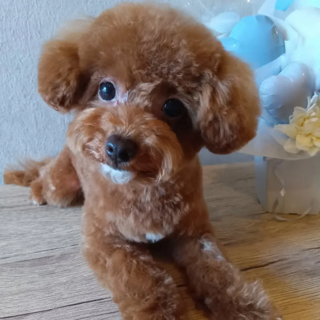 ハーブパック🌿