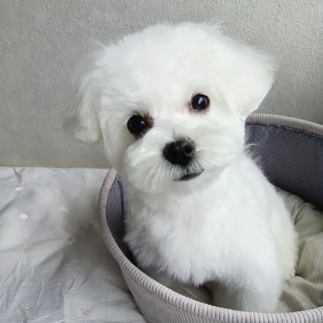 ハーブパック🌿