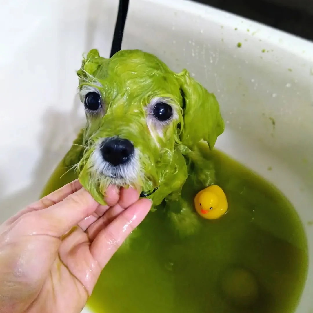 ハーブパック🌿