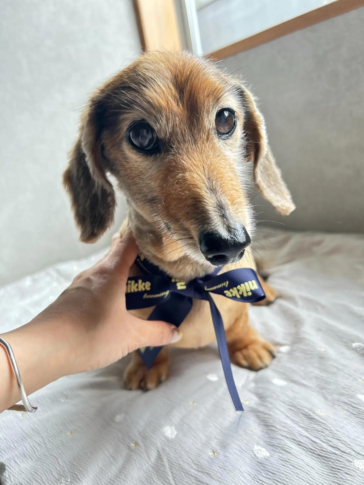 ハーブパック🌿