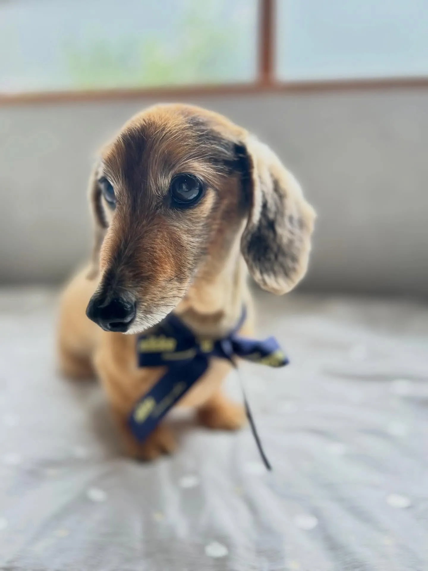 ハーブパック🌿