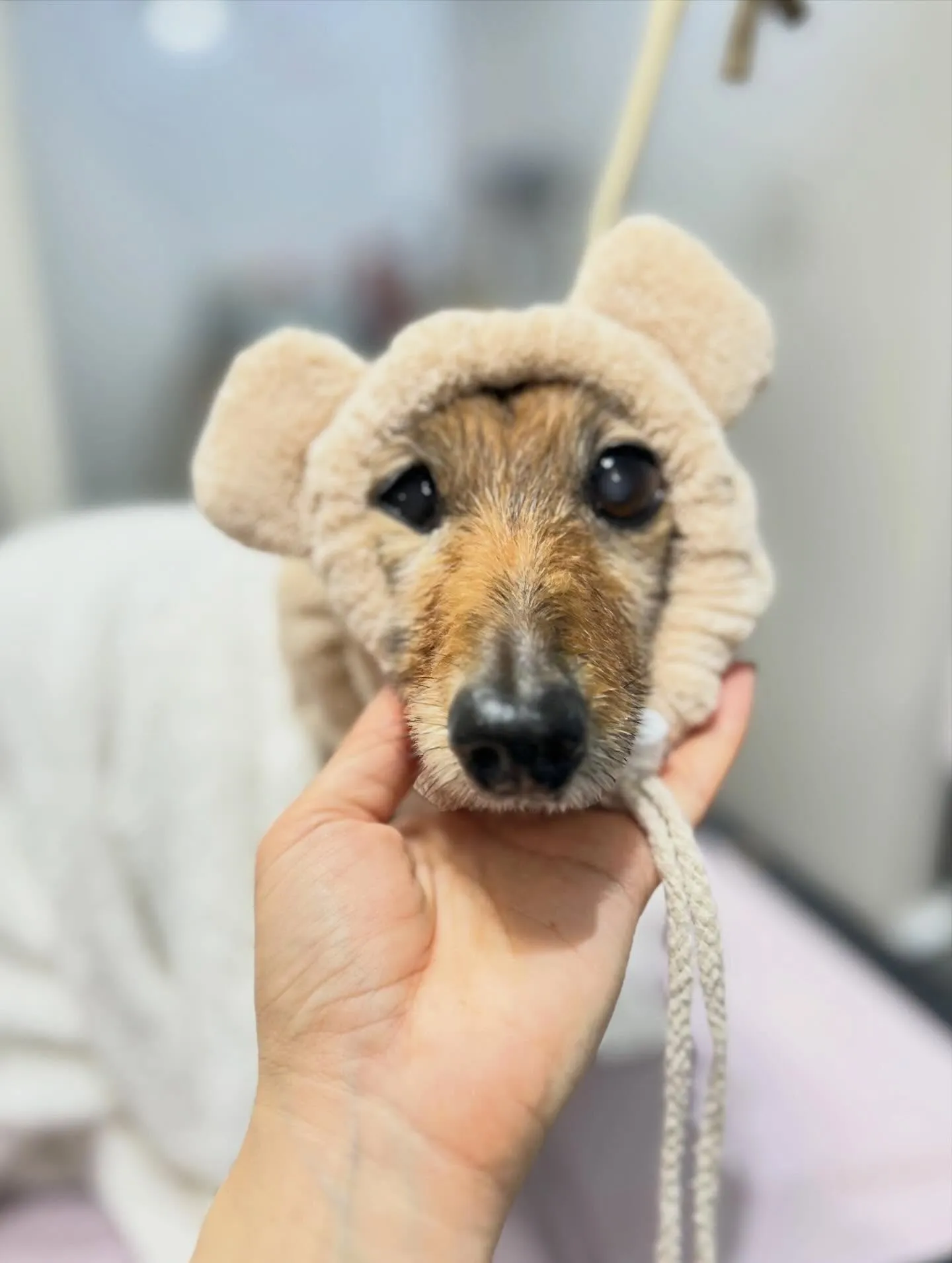 ハーブパック🌿