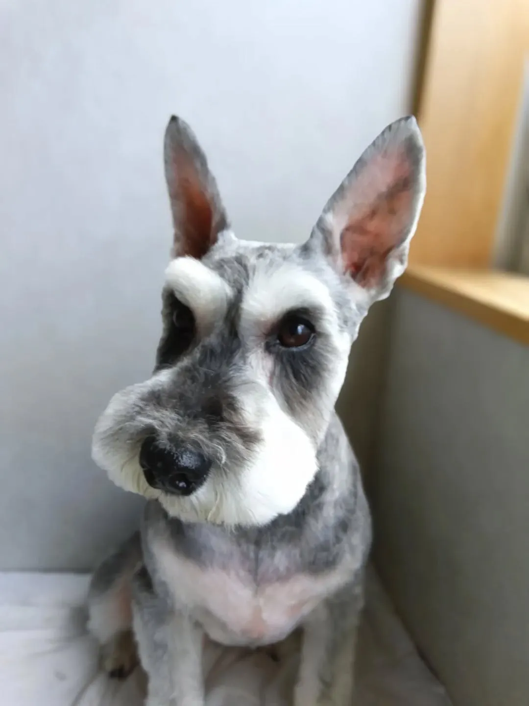 ハーブパック🌿