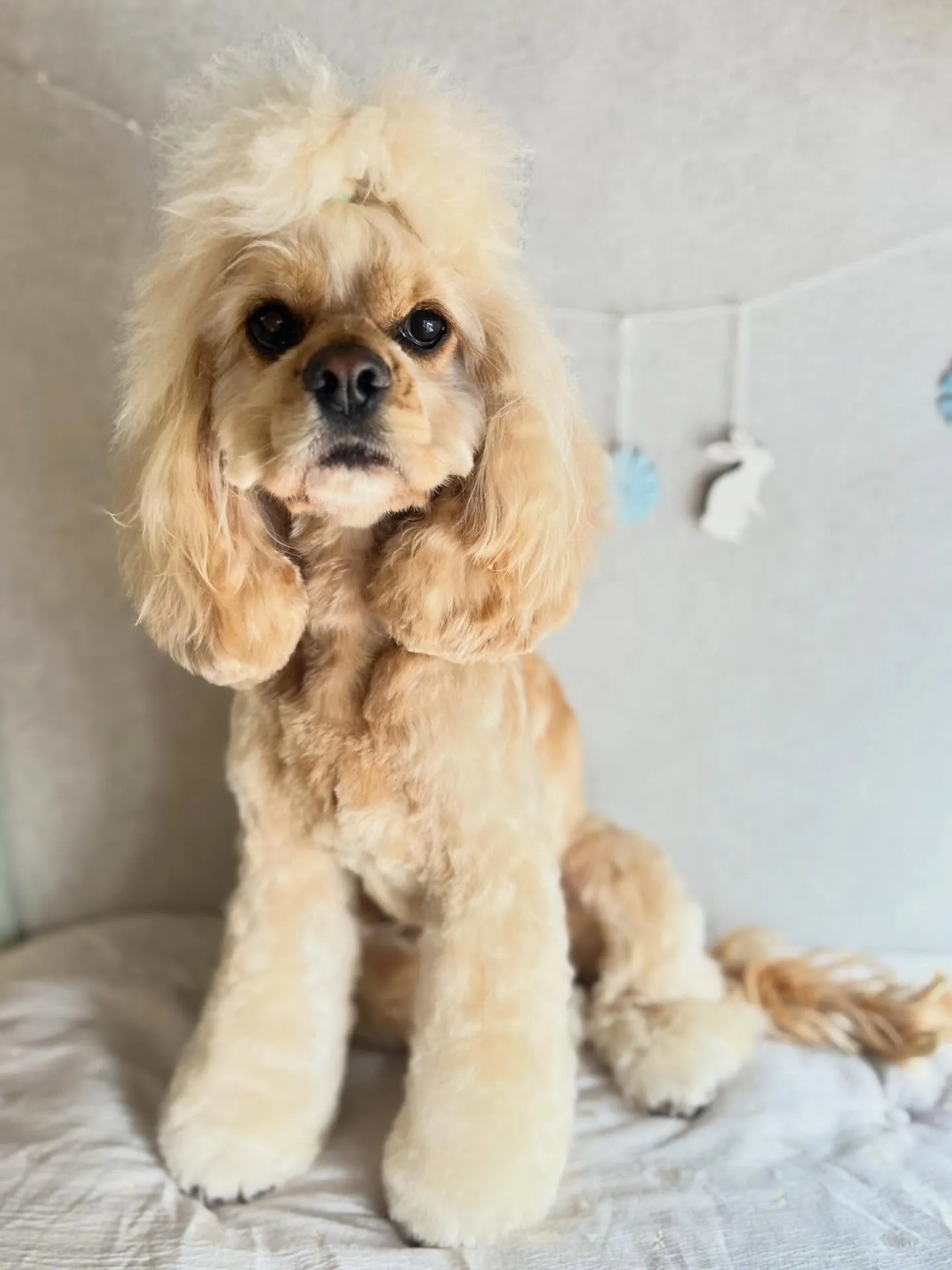 ハーブパック🌿