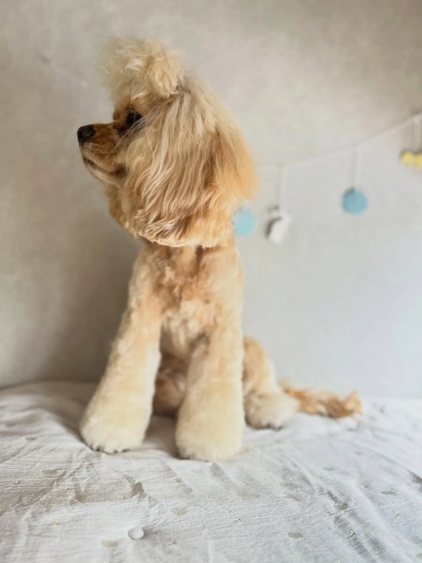 ハーブパック🌿