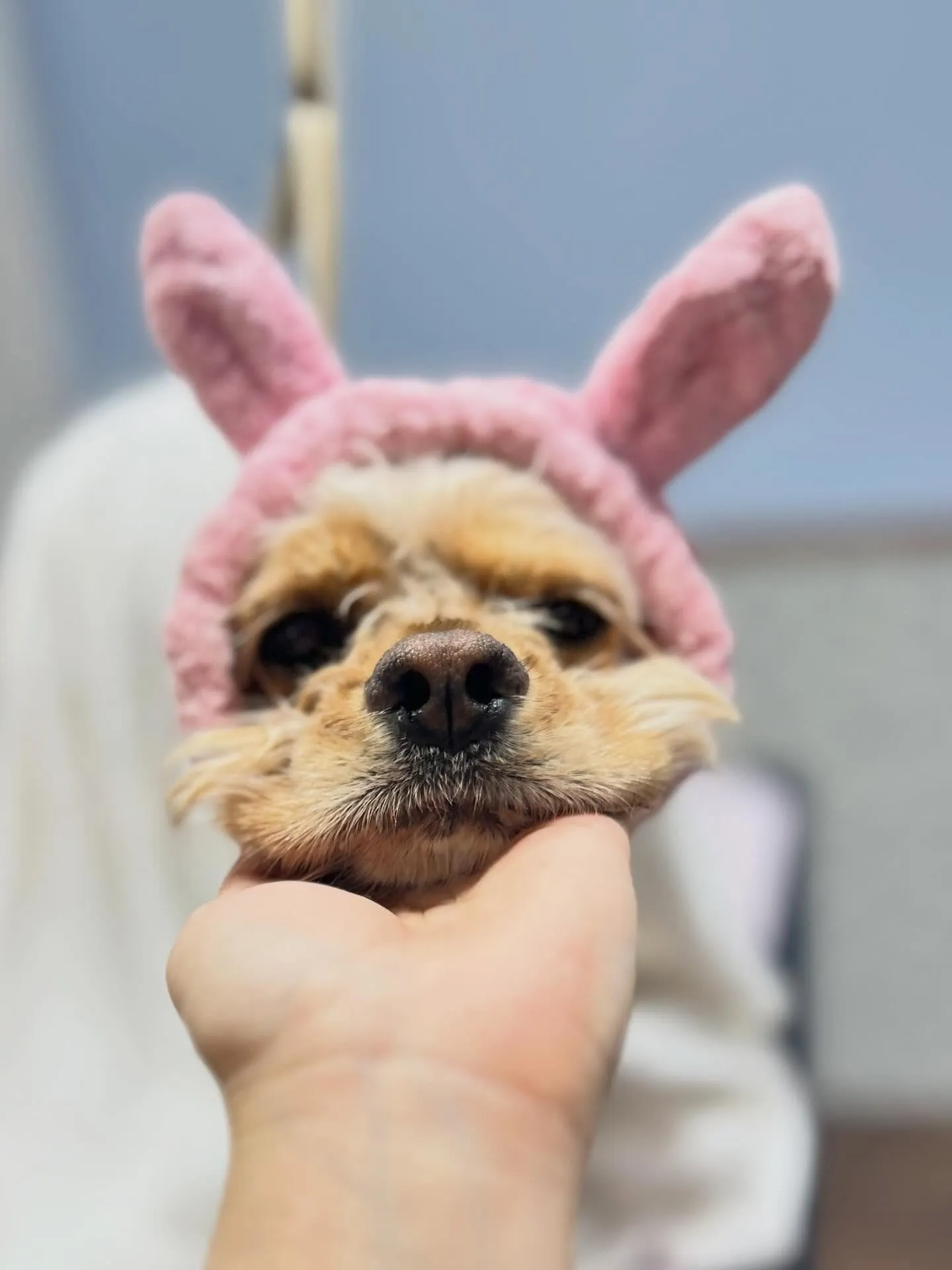 ハーブパック🌿