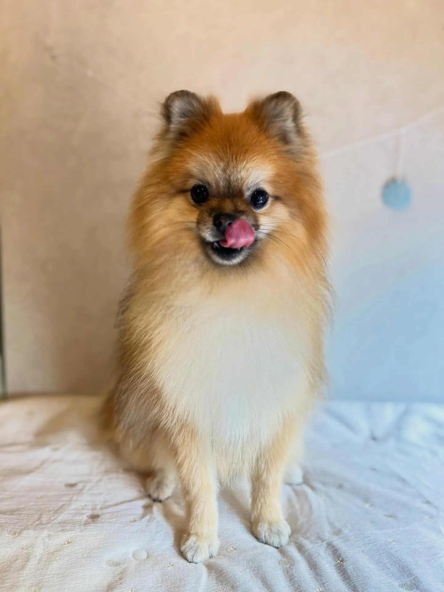 初めましてのお友達🐾