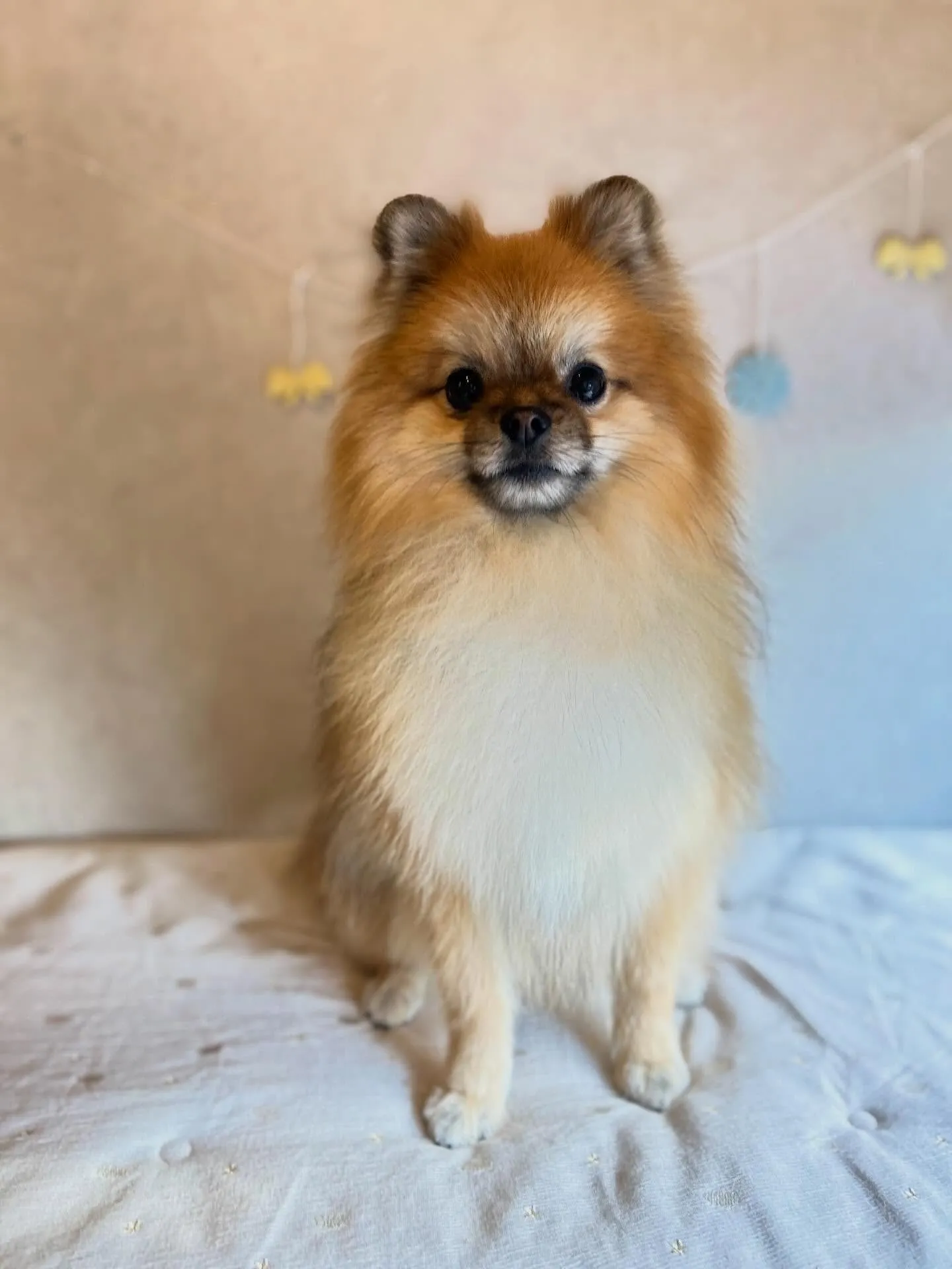 初めましてのお友達🐾