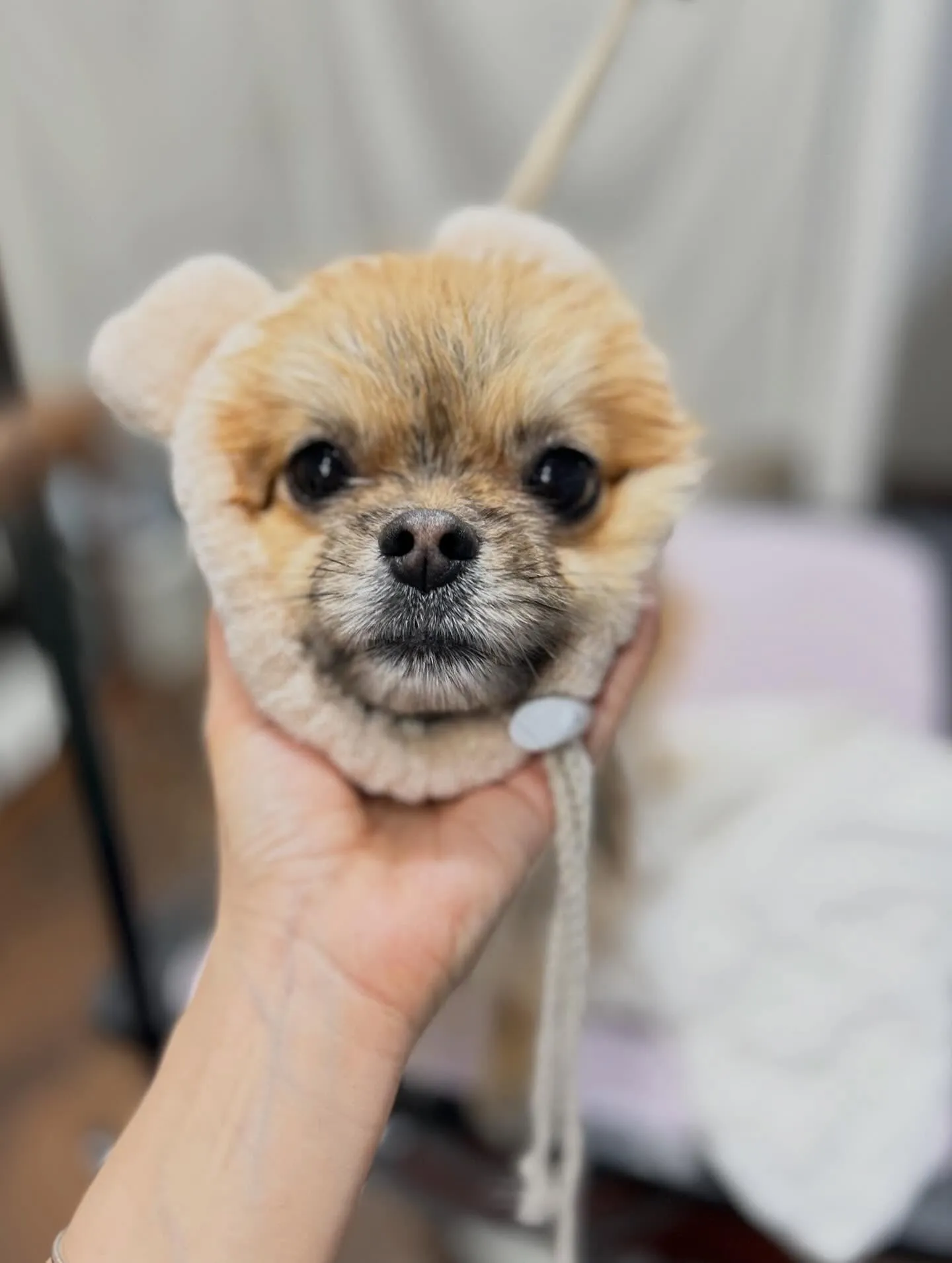 初めましてのお友達🐾