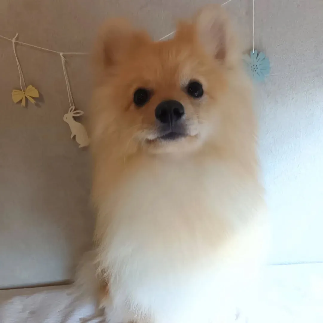 初めましてのお友だち✨️