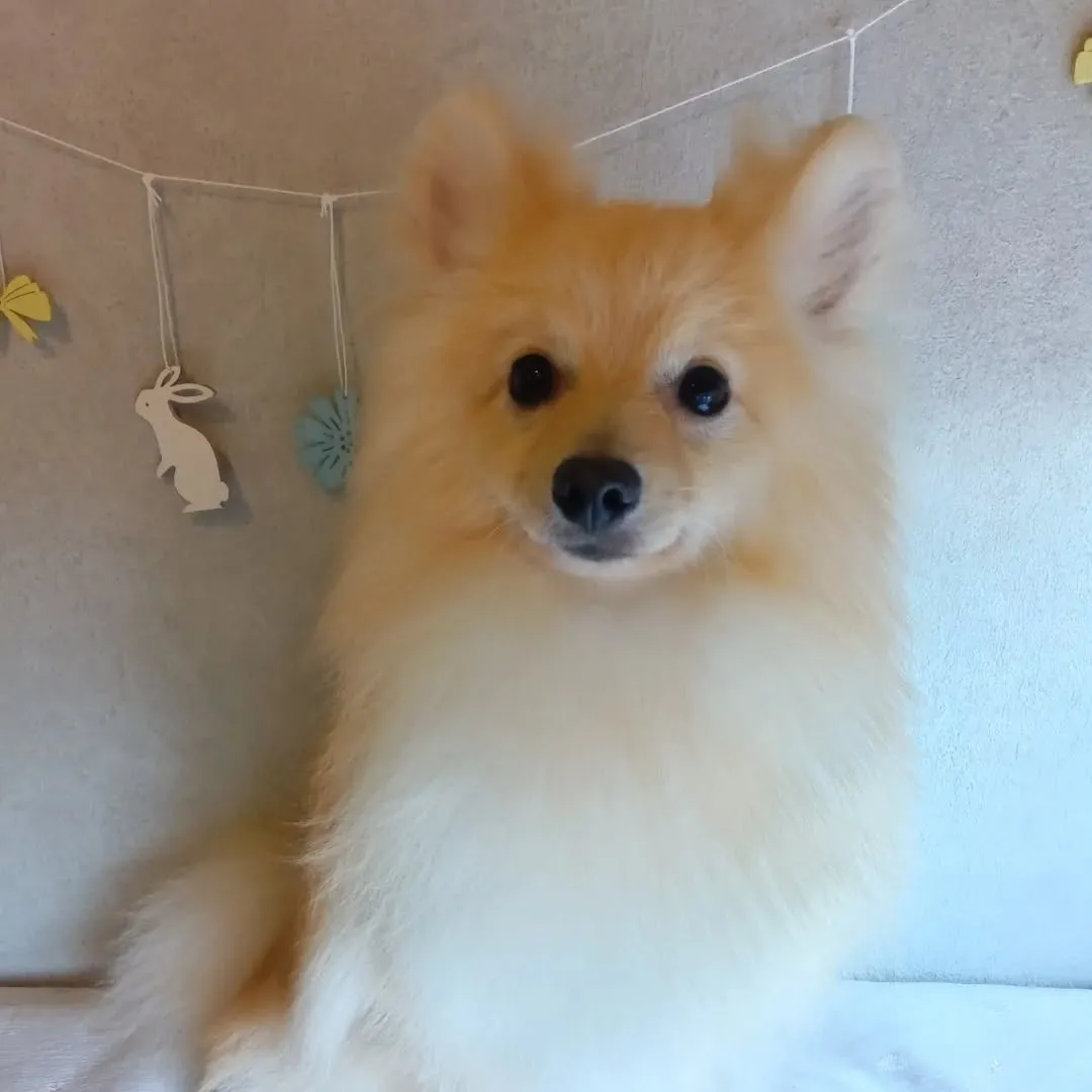 初めましてのお友だち✨️