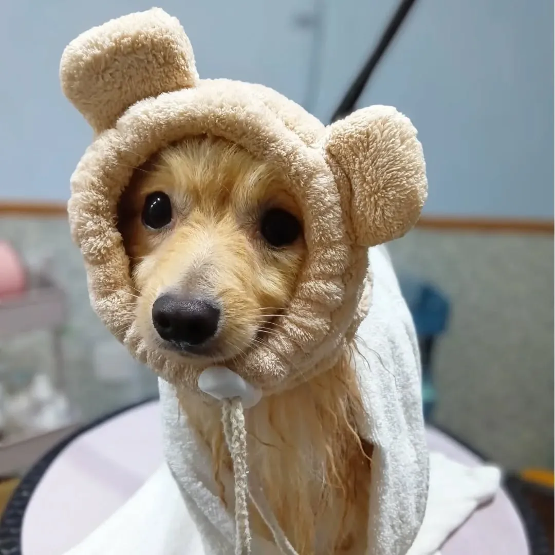 初めましてのお友だち✨️