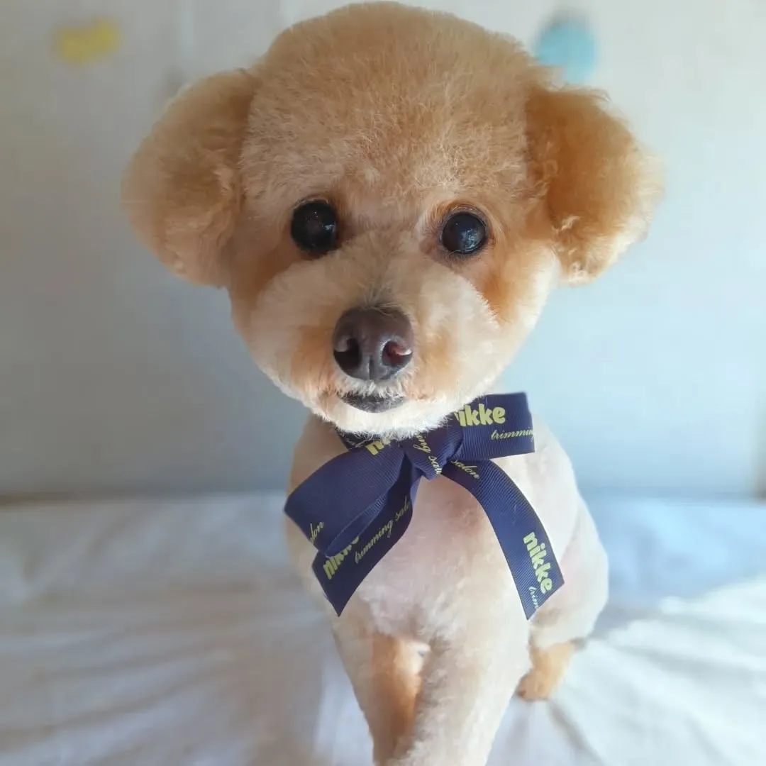 ハーブパック🌿