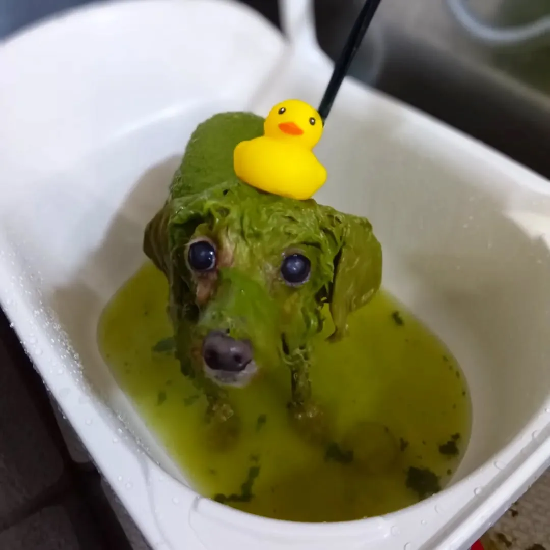 ハーブパック🌿