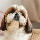 プライバシーポリシー