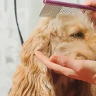 当サロンの特徴