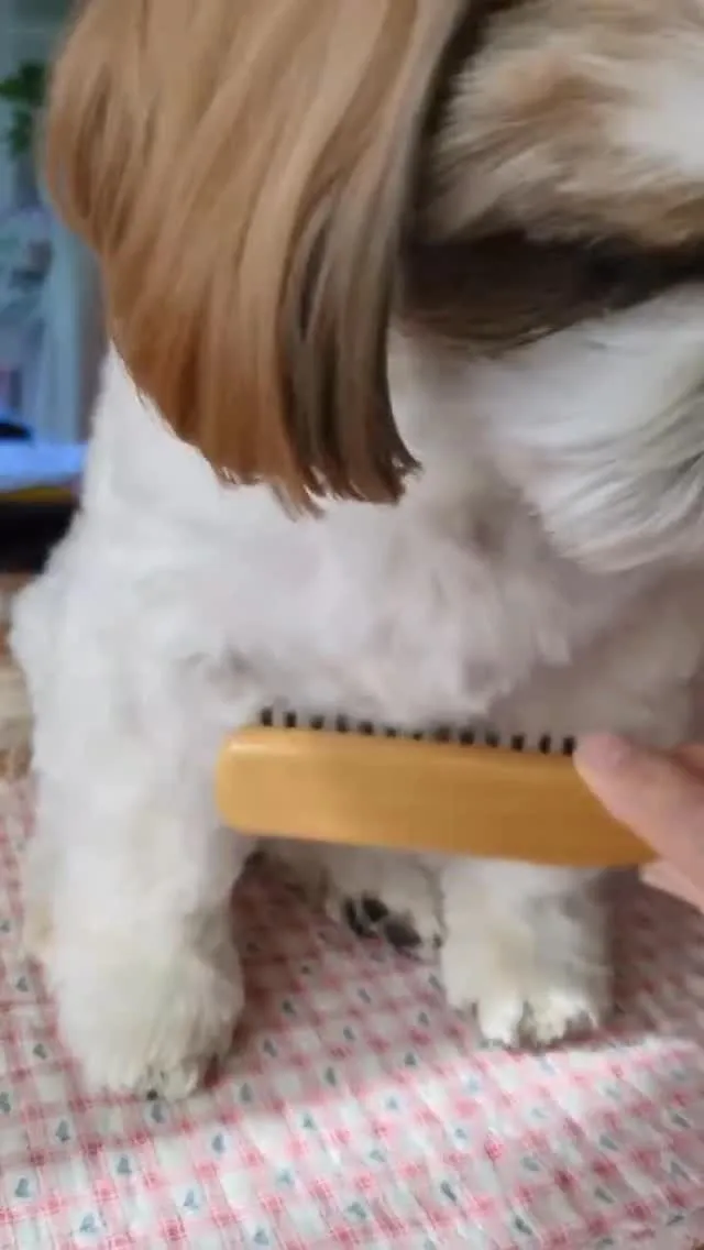 お客様からの声🐾