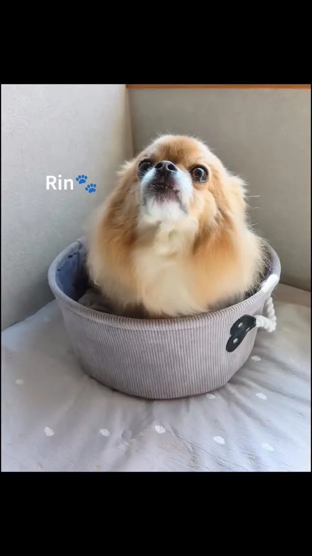 ハーブパック🌿