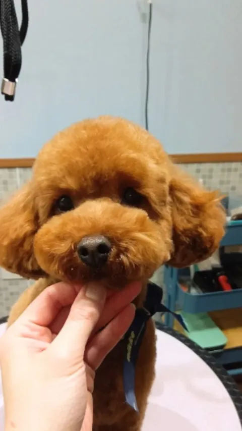 ハーブパック🌿