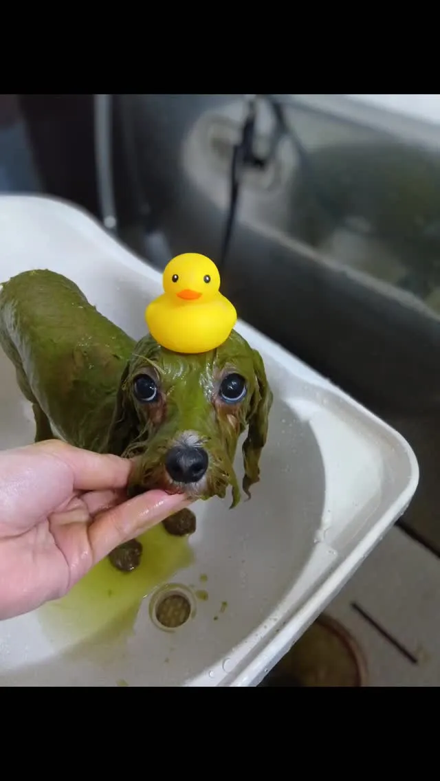 ハーブパック🌿