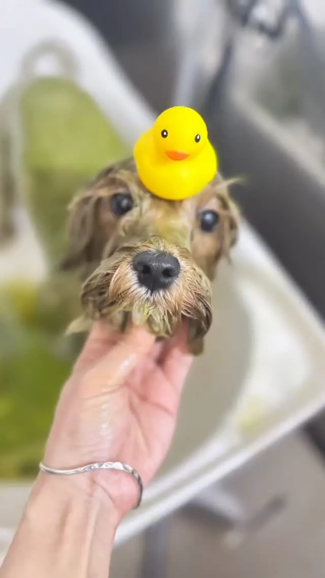 ハーブパック🌿