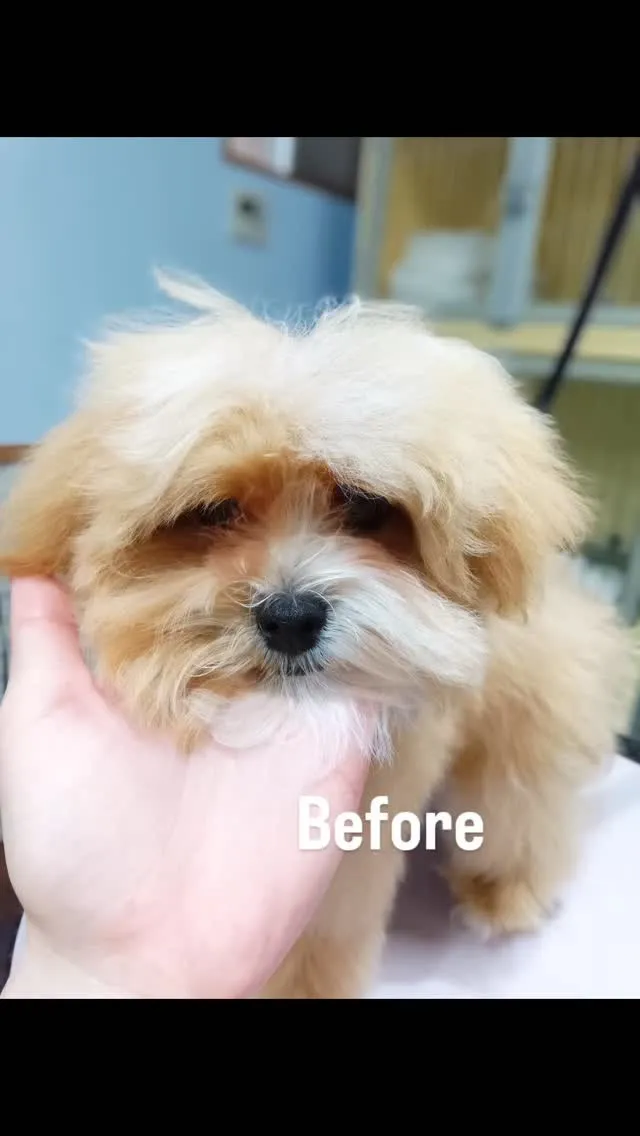 ファーストトリミング🌱