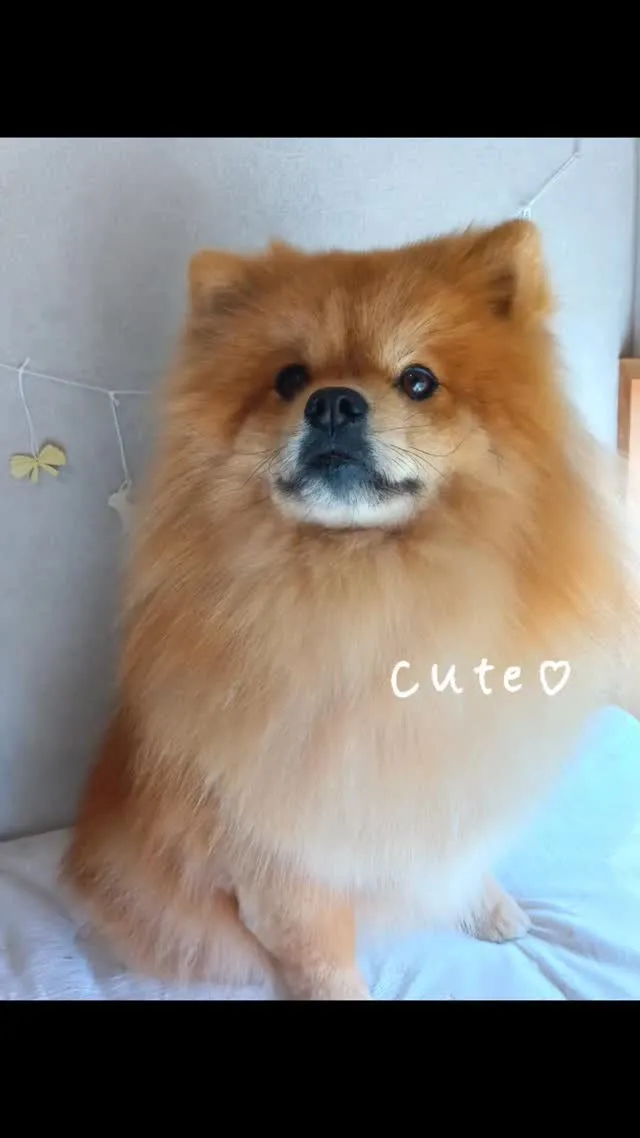 ハーブ温浴♨️