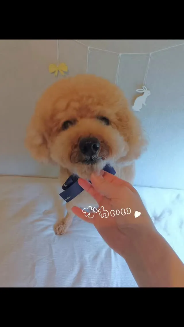 ハーブパック🌿