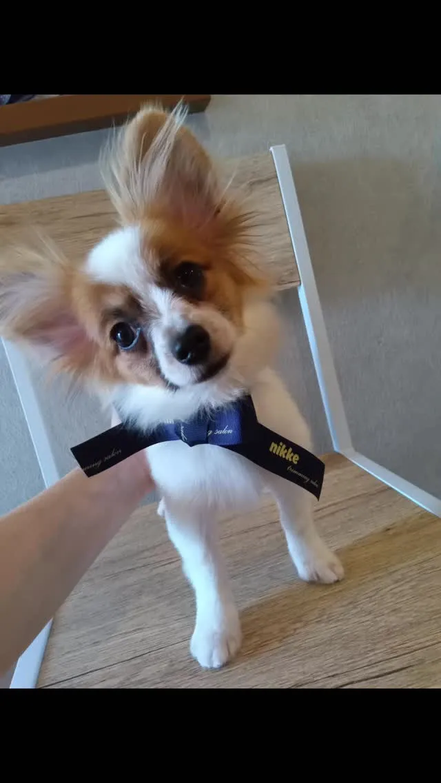 はじめましてのお友だち🐾