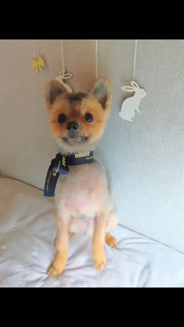 はじめましてのお友だち🐾