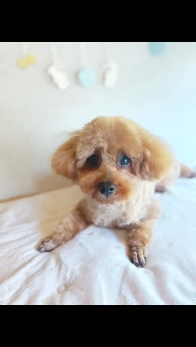 はじめましてのお友だち🐾