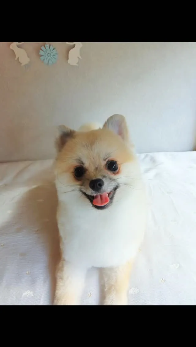 はじめましてのお友だち🐾
