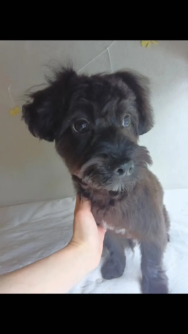 はじめましてのお友だち🐾