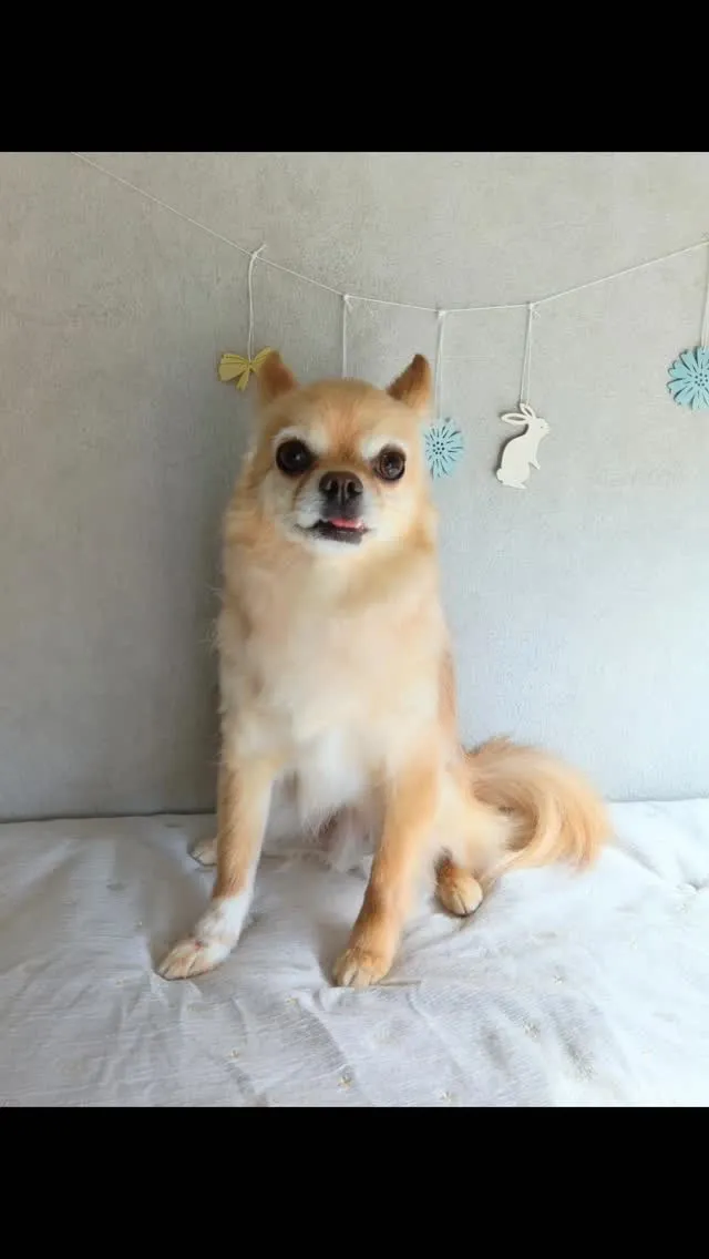 はじめましてのお友だち🐾
