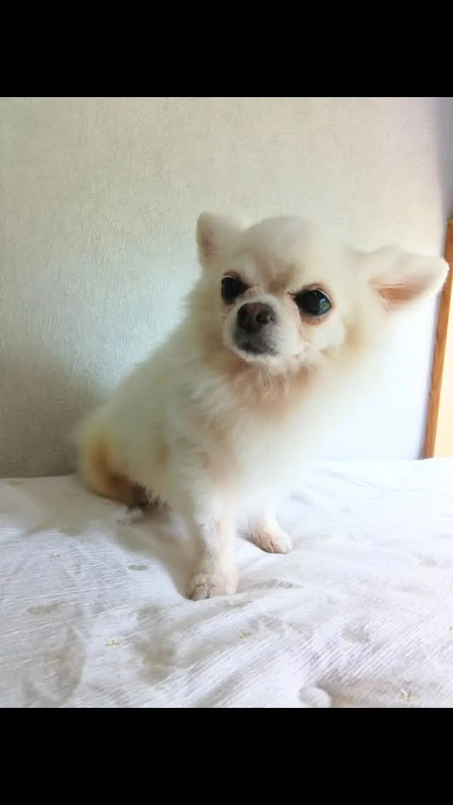 はじめましてのお友だち🐾