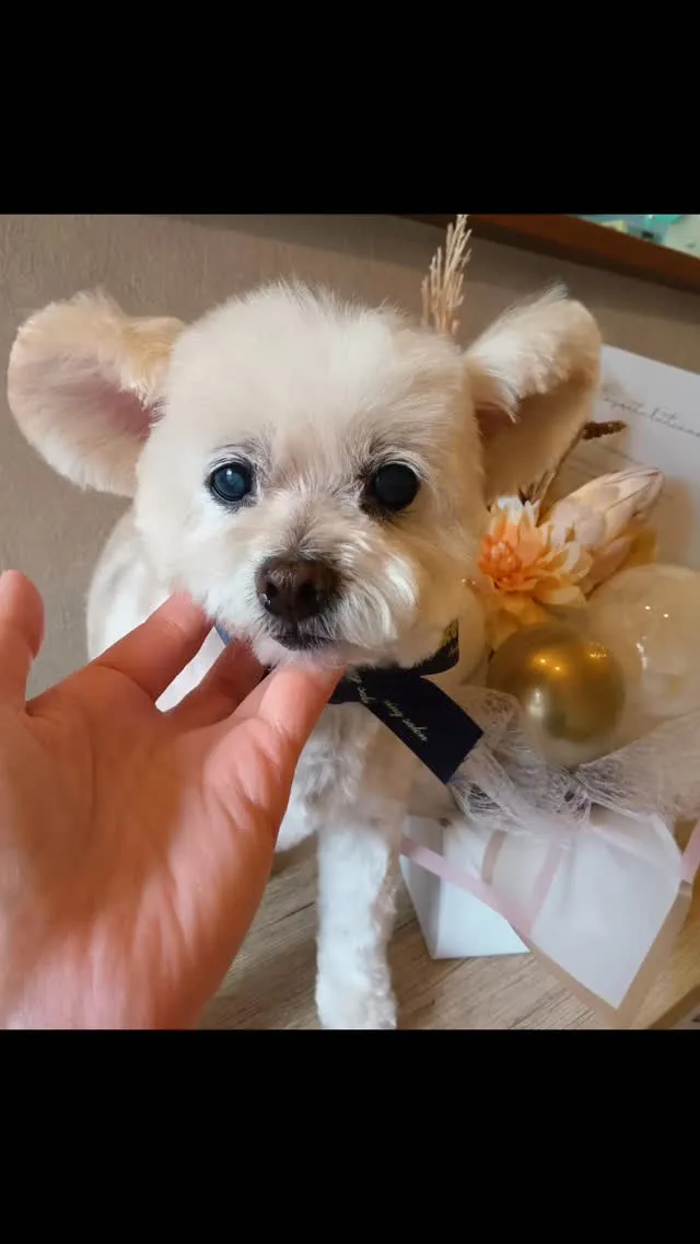 はじめましてのお友だち🐾